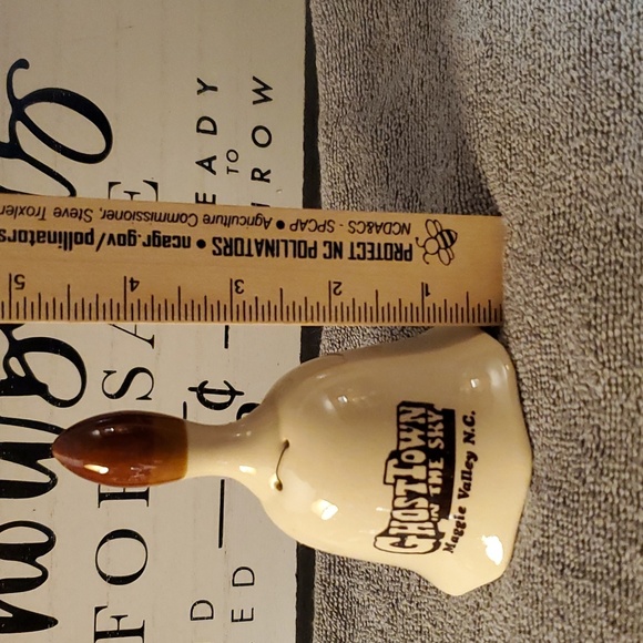 Ghost Town In The Sky Amusement Park Bell Maggie Valley NC - Picture 3 of 11